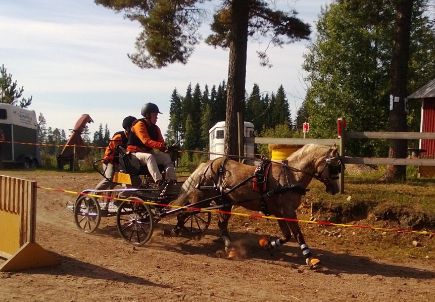 loimaa2013.jpg